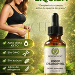 CLOROFILA LIQUIDA PREMIUM